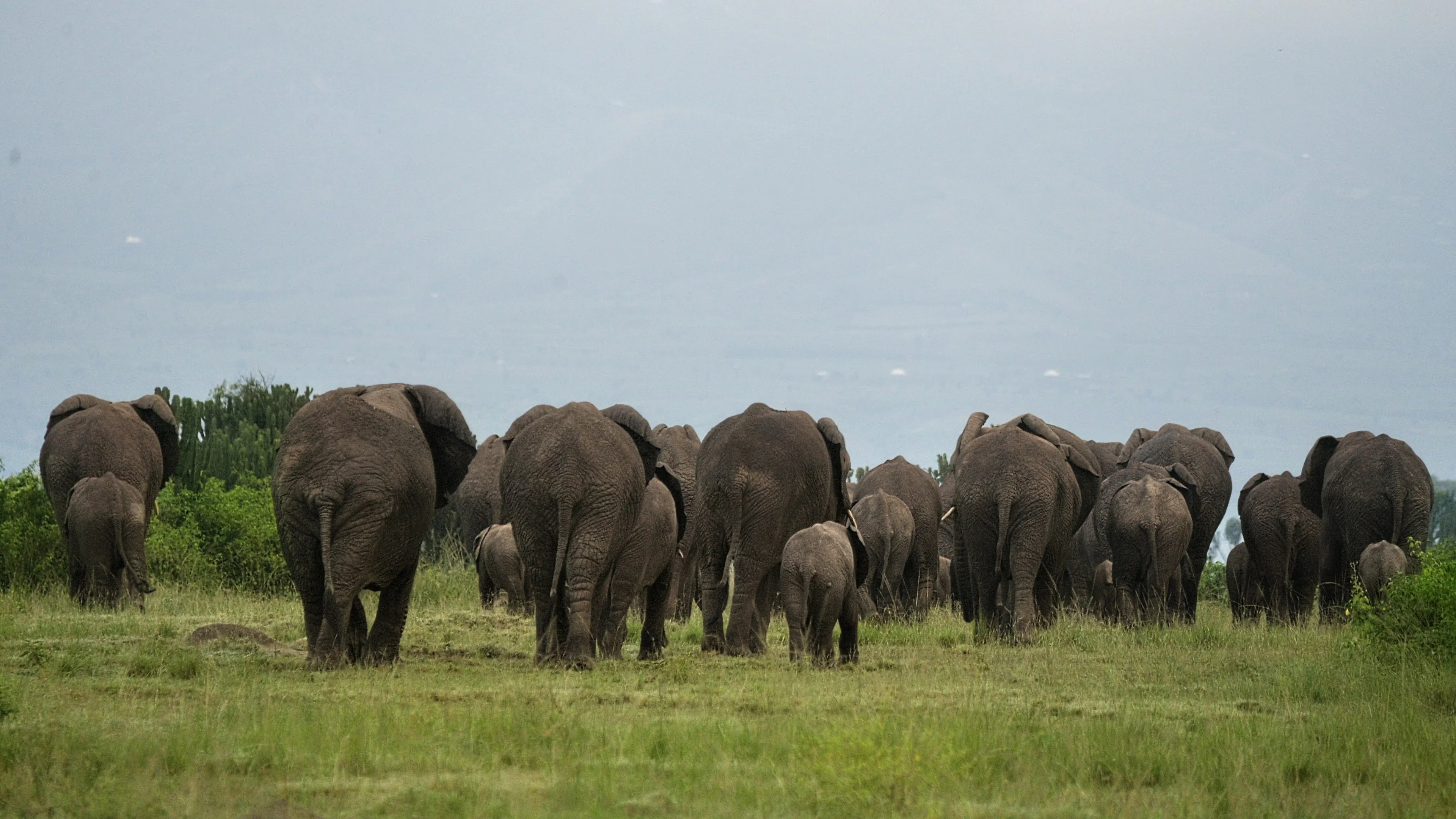 Explore Destinations